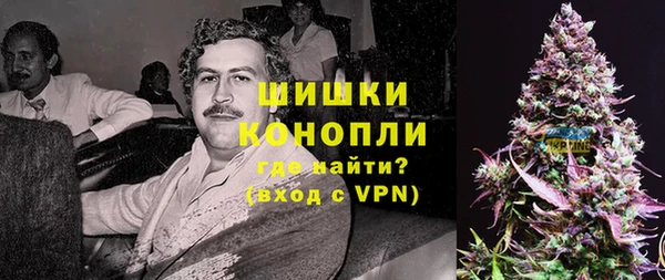PSILOCYBIN Навашино