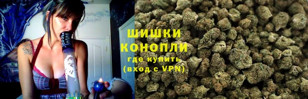 PSILOCYBIN Навашино