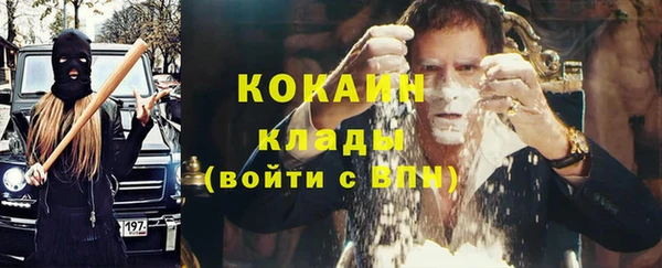 PSILOCYBIN Навашино