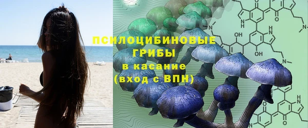 бошки Надым