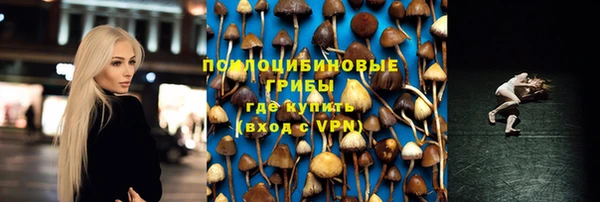 PSILOCYBIN Навашино