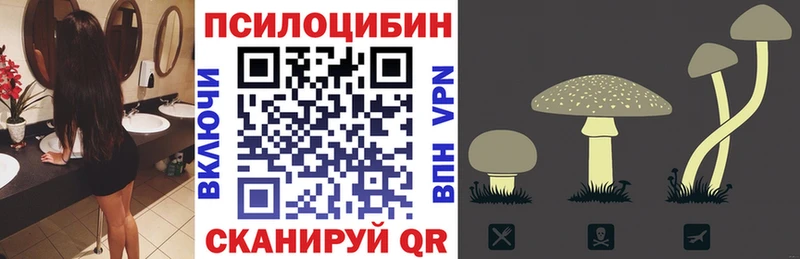 даркнет формула  Истра  Галлюциногенные грибы Magic Shrooms 