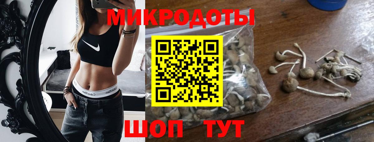 Псилоцибиновые грибы мицелий  Галлюциногенные грибы мицелий  Истра  купить   Вход с VPN 