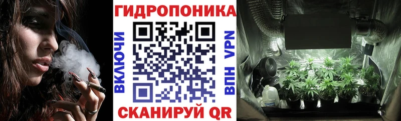 Шишки марихуана гибрид  как найти наркотики  Истра 