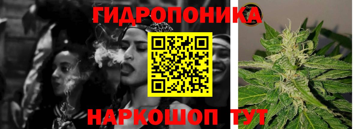 Канабис сатива Истра